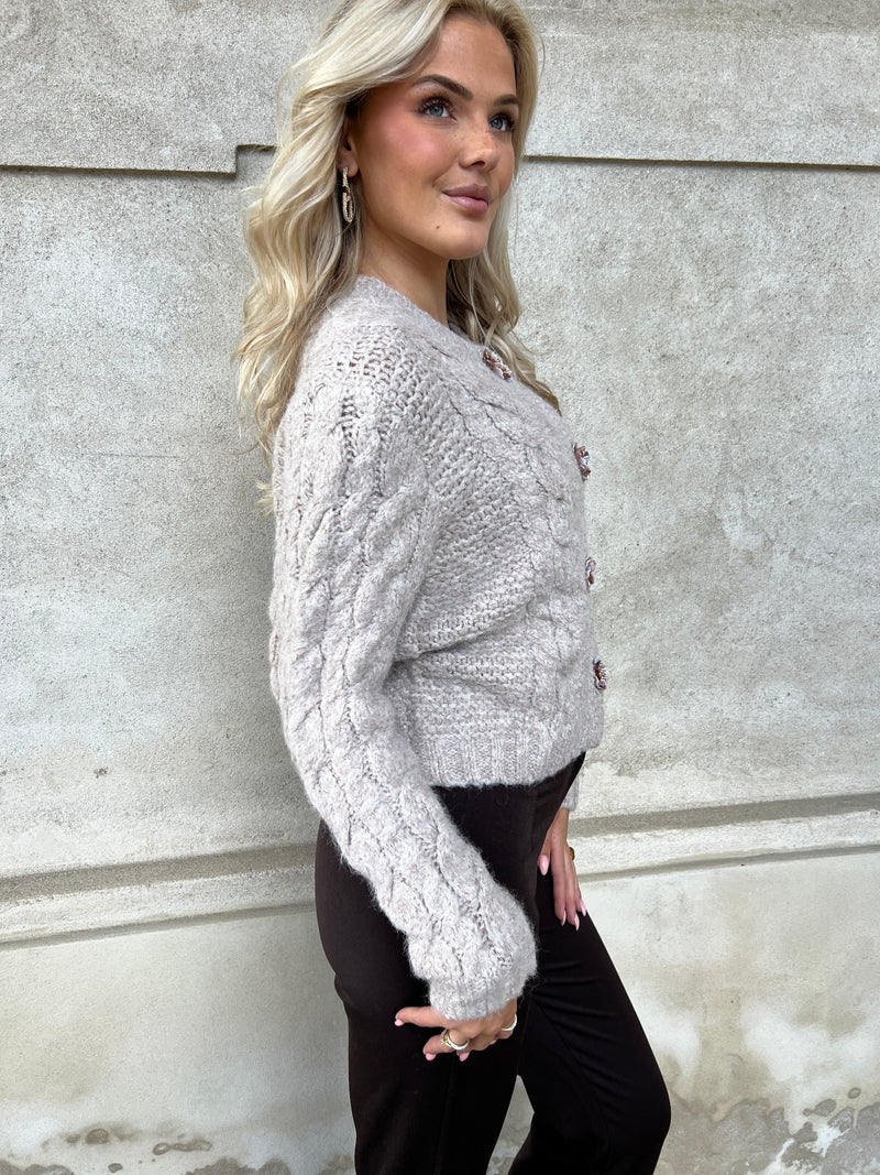 Azaka taupe cardigan